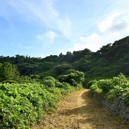 Hidden Cliff Hotel And Nature Seogwipo Exterior photo