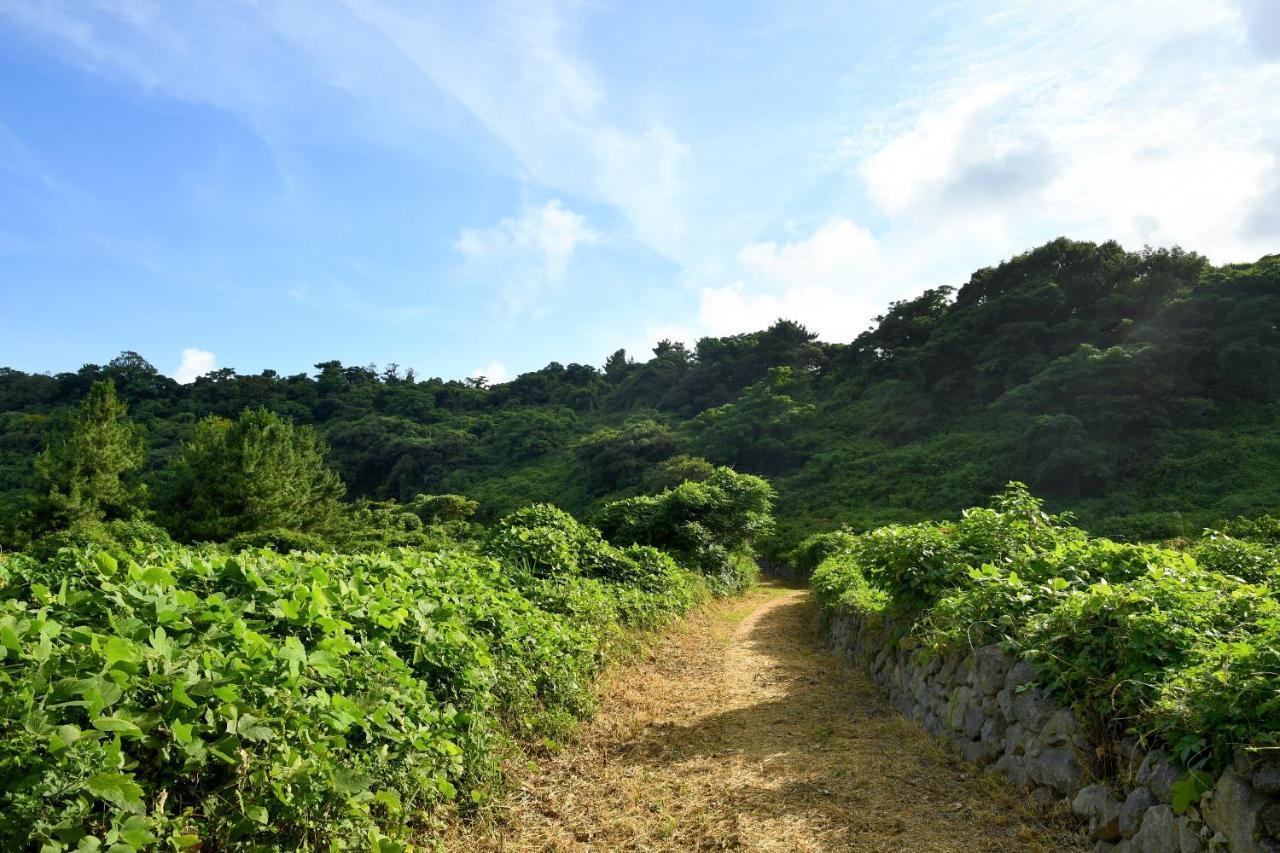 Hidden Cliff Hotel And Nature Seogwipo Exterior photo